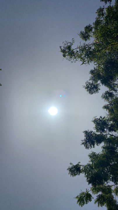 Mes publications Crowdsourcing