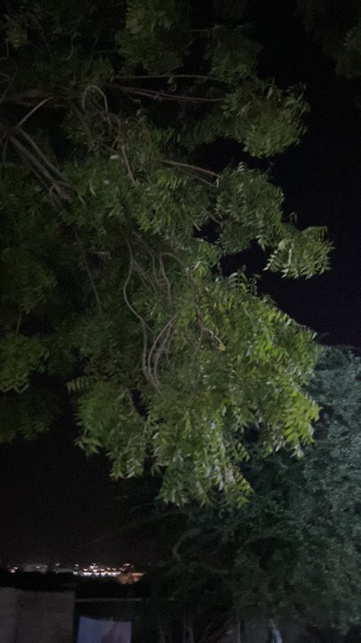 مشاركاتي في أنت الراصد