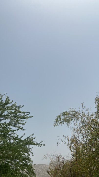 مشاركاتي في أنت الراصد