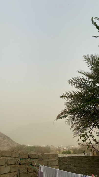 مشاركاتي في أنت الراصد