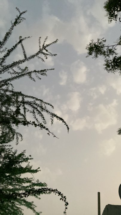 مشاركاتي في أنت الراصد