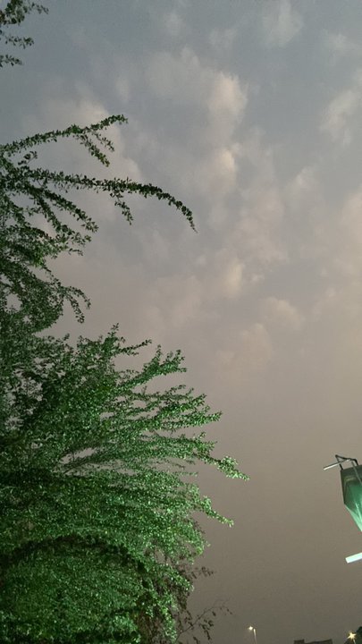 مشاركاتي في أنت الراصد