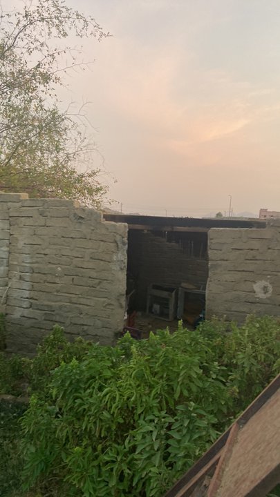 مشاركاتي في أنت الراصد