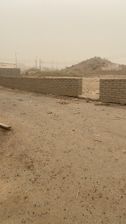 مشاركاتي في أنت الراصد