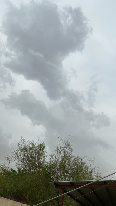 مشاركاتي في أنت الراصد