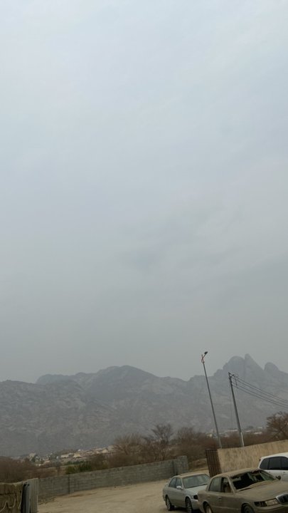 مشاركاتي في أنت الراصد