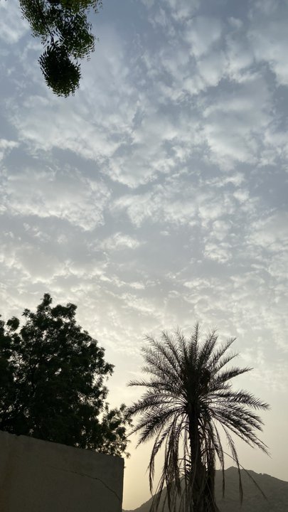 مشاركاتي في أنت الراصد