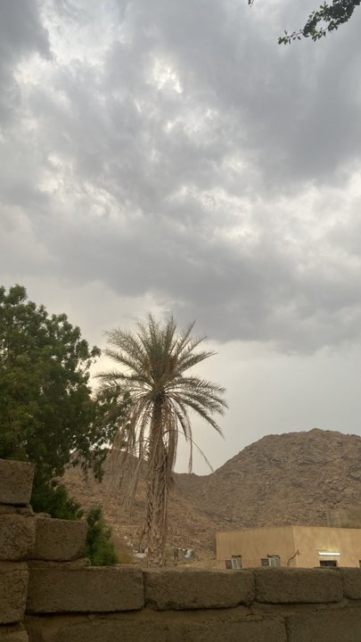 مشاركاتي في أنت الراصد