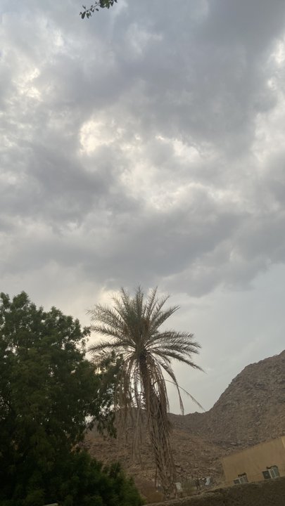 مشاركاتي في أنت الراصد