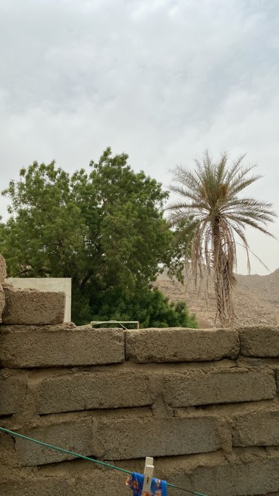 مشاركاتي في أنت الراصد