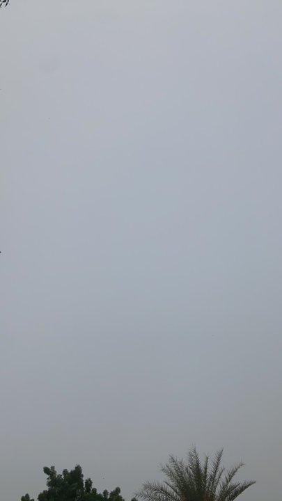 مشاركاتي في أنت الراصد