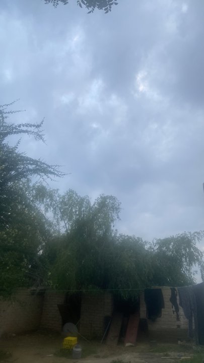 Mes publications Crowdsourcing