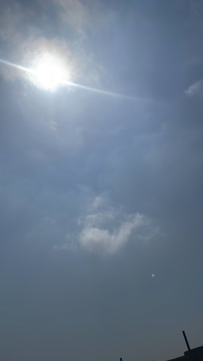 مشاركاتي في أنت الراصد