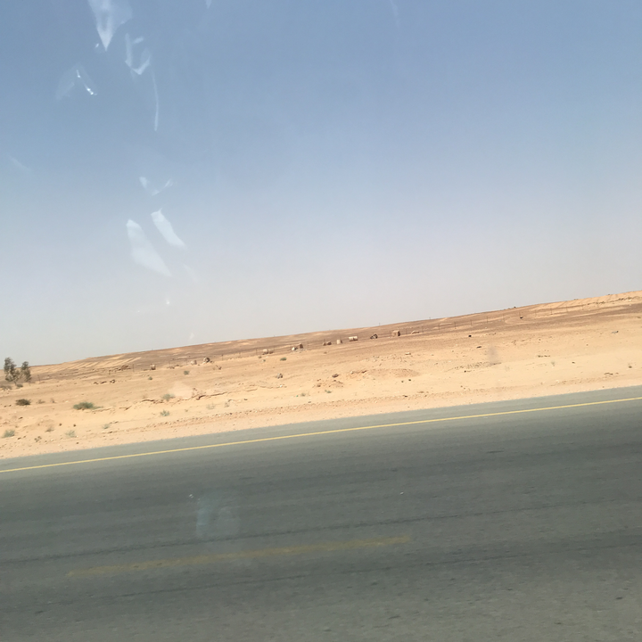 مشاركاتي في أنت الراصد