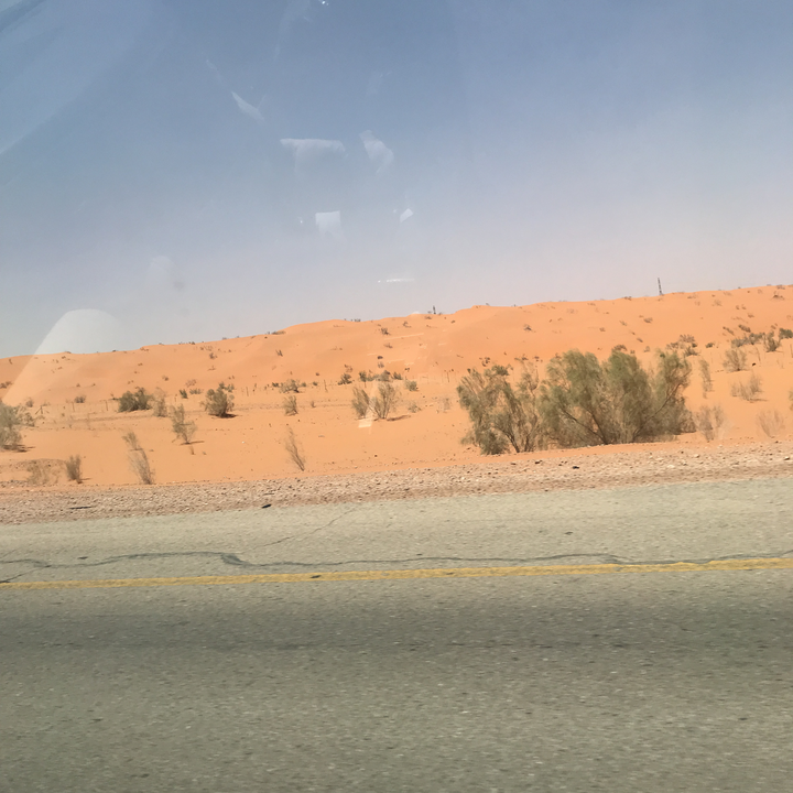 مشاركاتي في أنت الراصد