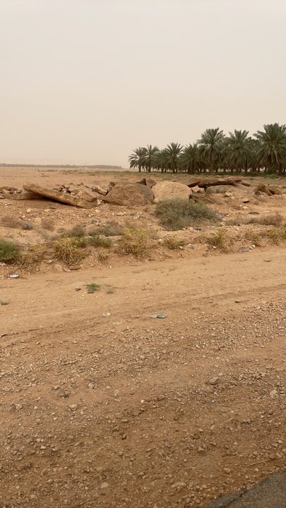 مشاركاتي في أنت الراصد