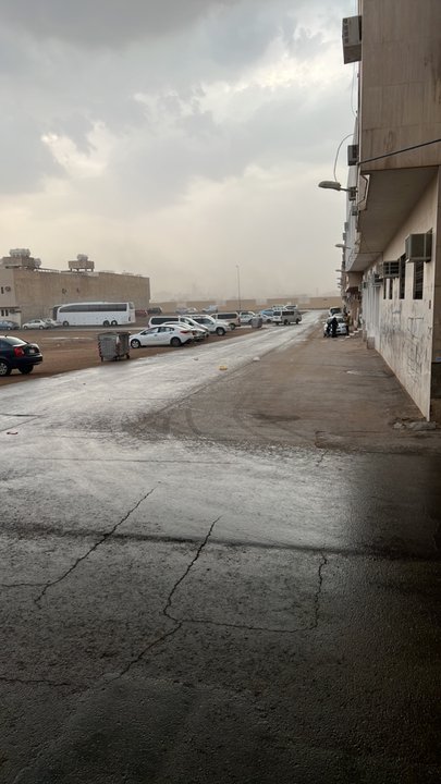 مشاركاتي في أنت الراصد