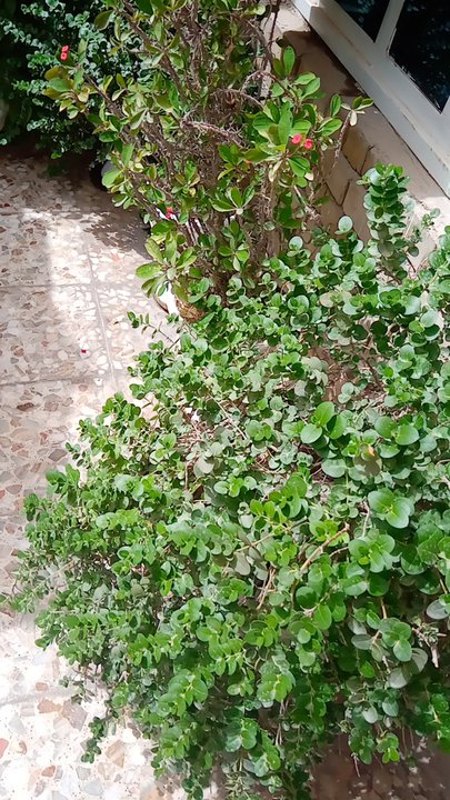 My Crowdsourcing Posts