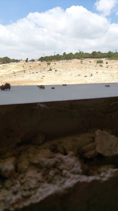 Mes publications Crowdsourcing