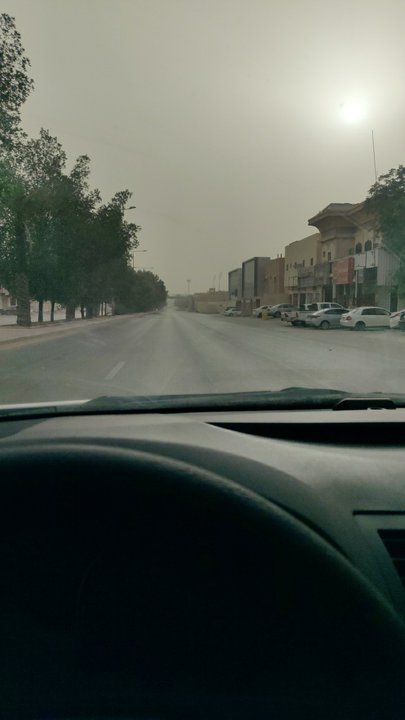 مشاركاتي في أنت الراصد