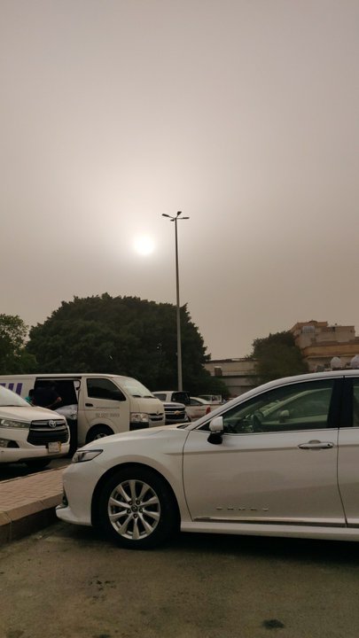 مشاركاتي في أنت الراصد