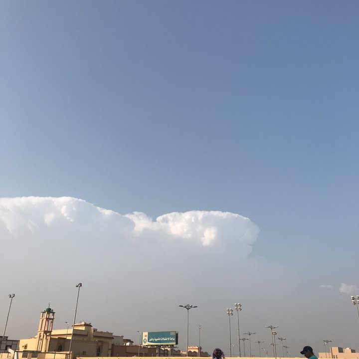 مشاركاتي في أنت الراصد