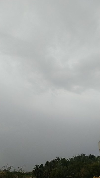 مشاركاتي في أنت الراصد