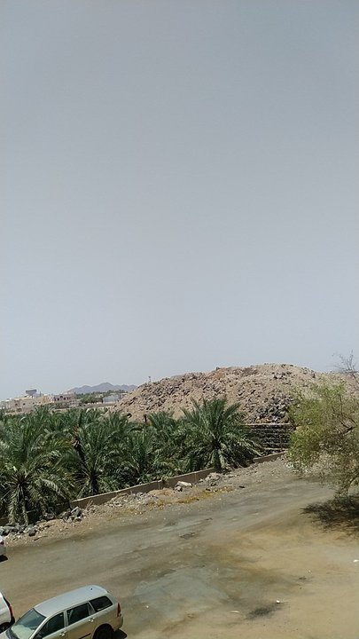 مشاركاتي في أنت الراصد