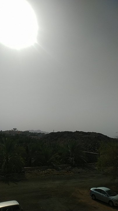 مشاركاتي في أنت الراصد