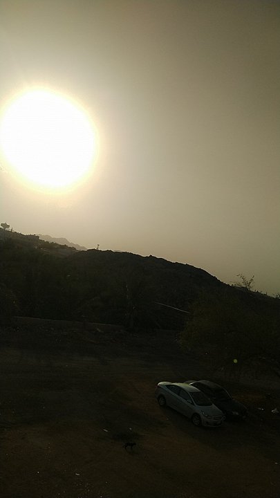 مشاركاتي في أنت الراصد