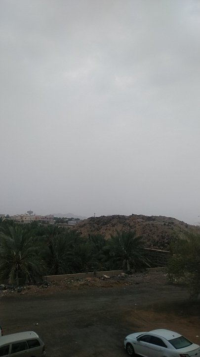 مشاركاتي في أنت الراصد