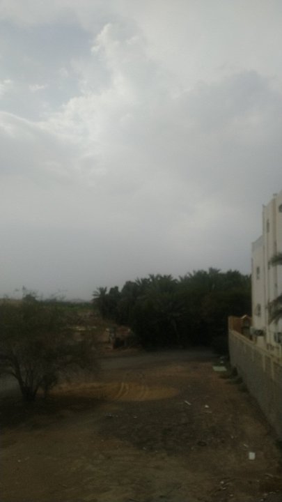 Mes publications Crowdsourcing