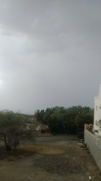 مشاركاتي في أنت الراصد