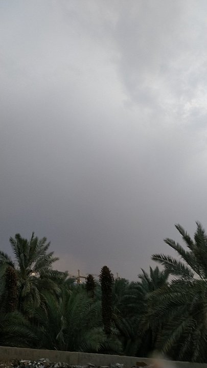 مشاركاتي في أنت الراصد