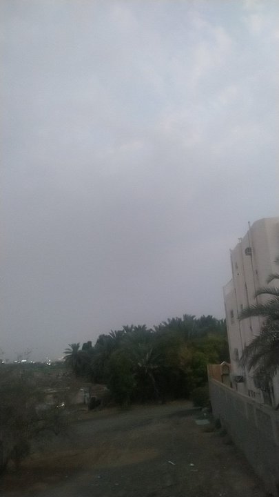 مشاركاتي في أنت الراصد