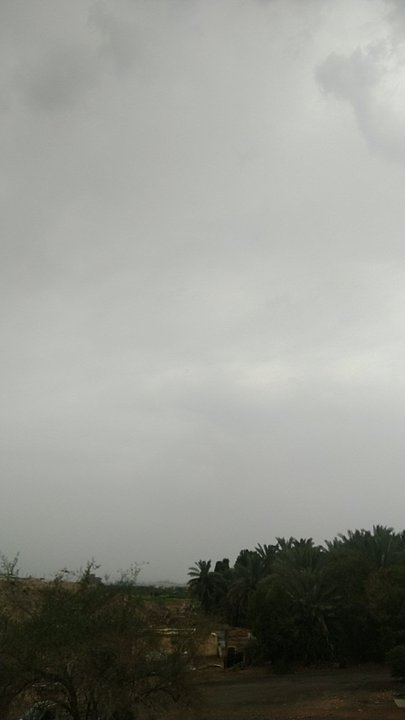 مشاركاتي في أنت الراصد