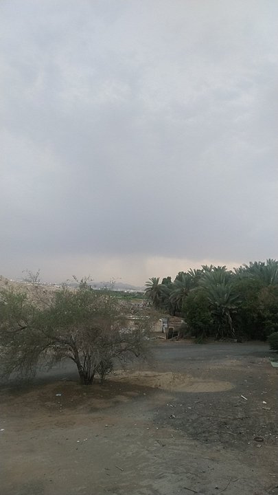 مشاركاتي في أنت الراصد