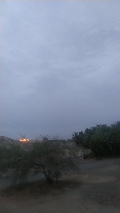 مشاركاتي في أنت الراصد