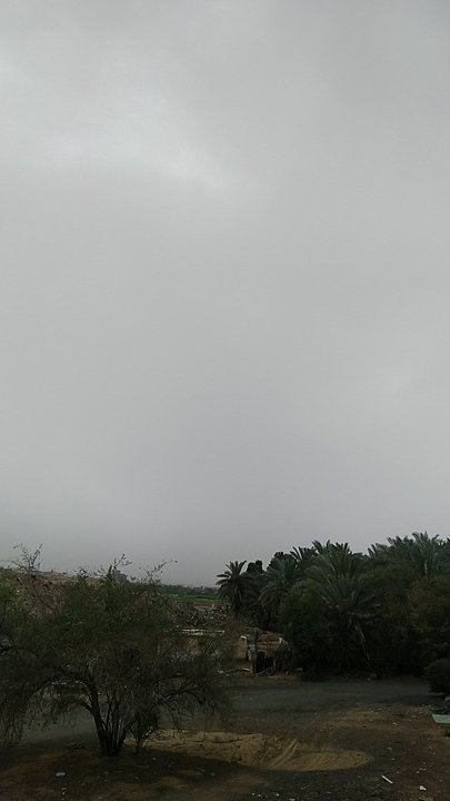 مشاركاتي في أنت الراصد