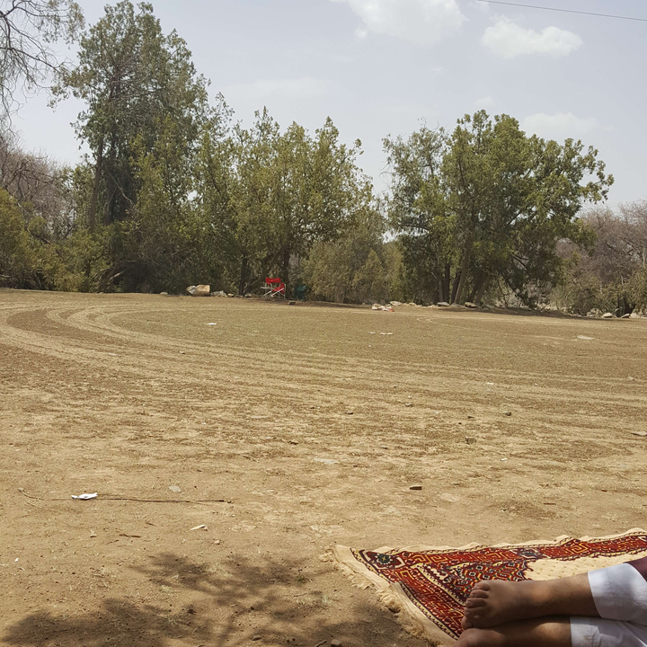 مشاركاتي في أنت الراصد