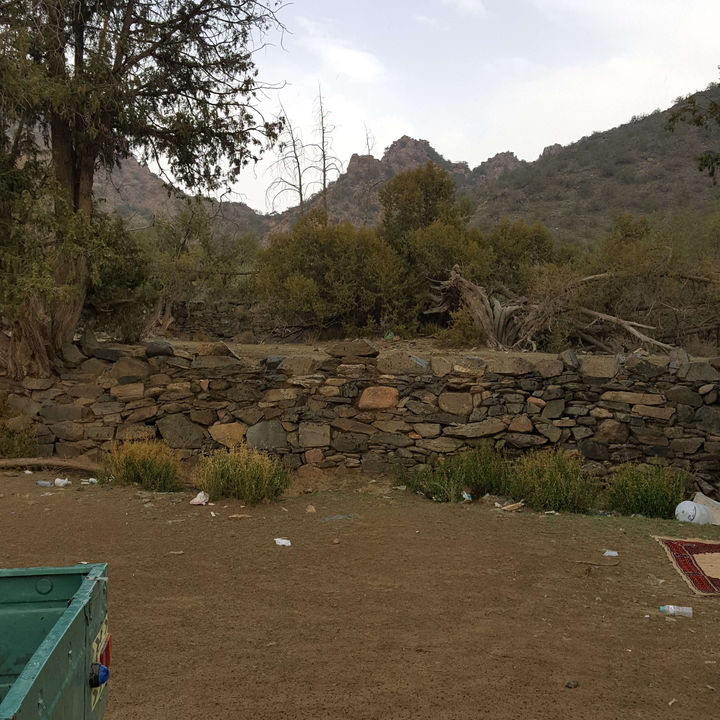 مشاركاتي في أنت الراصد