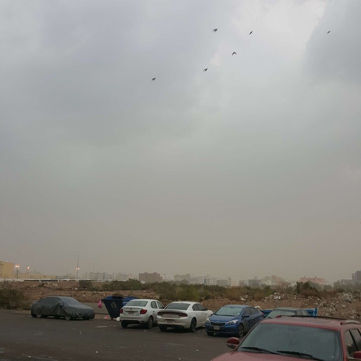 My Crowdsourcing Posts