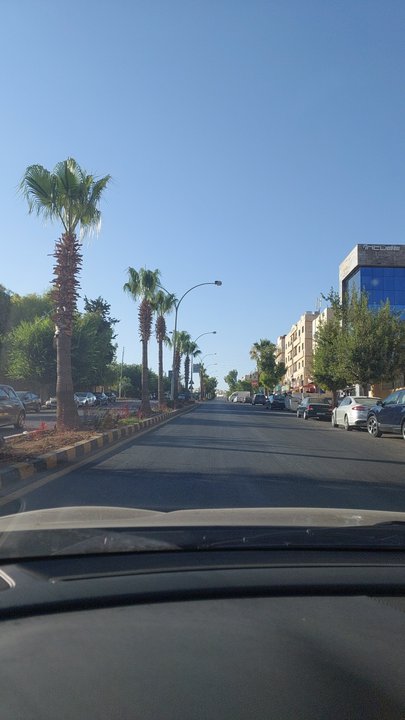 مشاركاتي في أنت الراصد