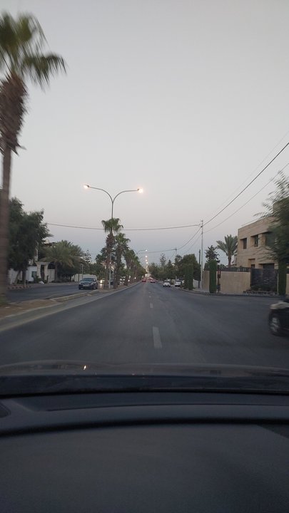 مشاركاتي في أنت الراصد