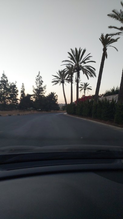 مشاركاتي في أنت الراصد