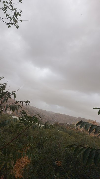 مشاركاتي في أنت الراصد