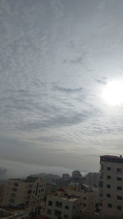 مشاركاتي في أنت الراصد