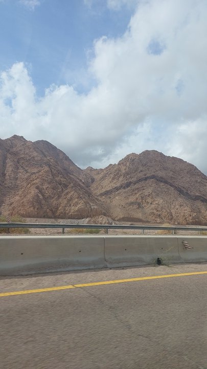 مشاركاتي في أنت الراصد