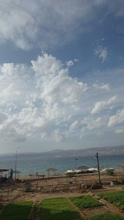 مشاركاتي في أنت الراصد