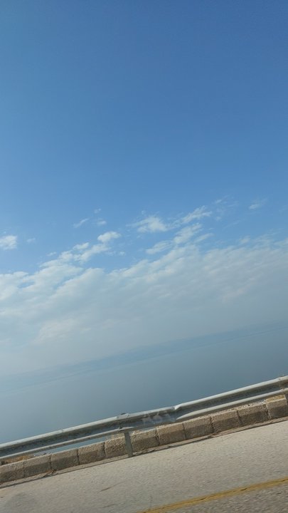 مشاركاتي في أنت الراصد